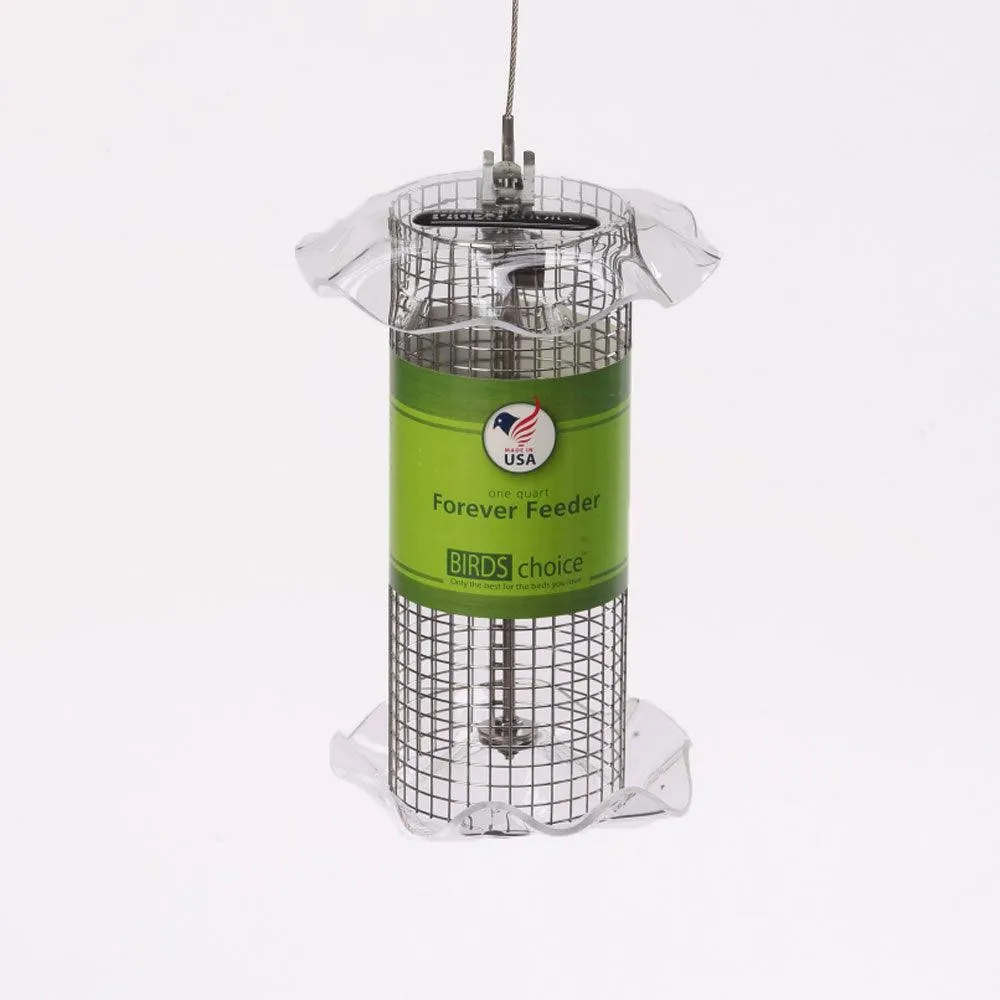 Birds Choice  Small Sunflower Seed Forever Feeder with Stainless Steel Screen in Clear