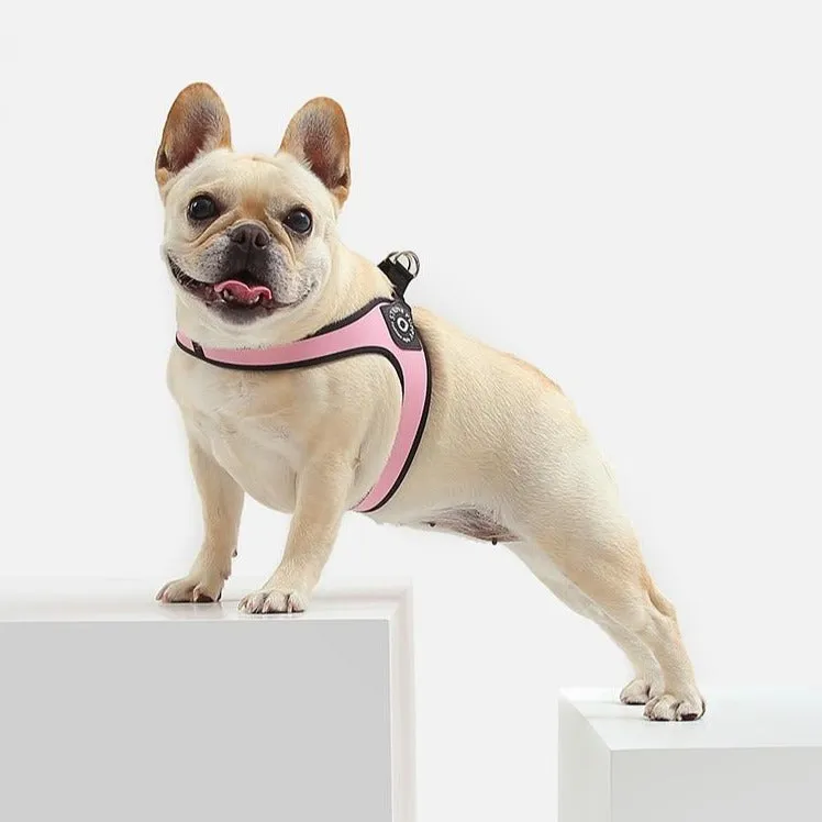Easy-Walk™ - No Pull French Bulldog Harness (WS601)