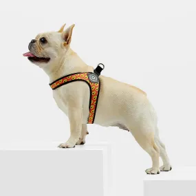 Easy-Walk™ - No Pull French Bulldog Harness (WS601)