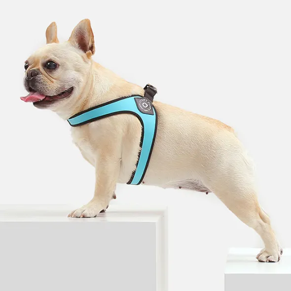 Easy-Walk™ - No Pull French Bulldog Harness (WS601)