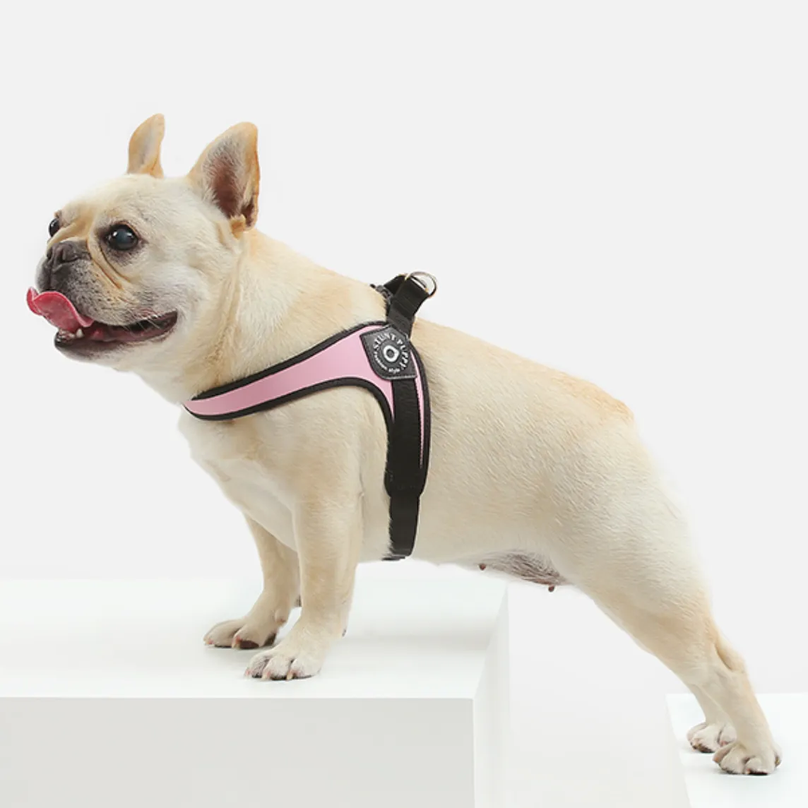 Easy-Walk™ - No Pull French Bulldog Harness (WS601)