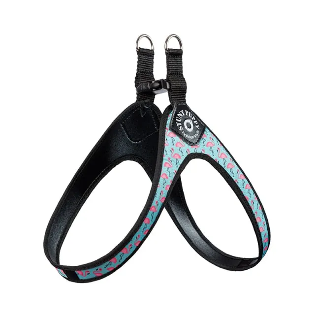 Easy-Walk™ - No Pull French Bulldog Harness (WS601)