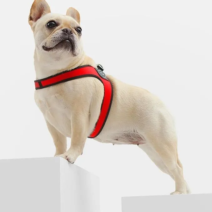 Easy-Walk™ - No Pull French Bulldog Harness (WS601)