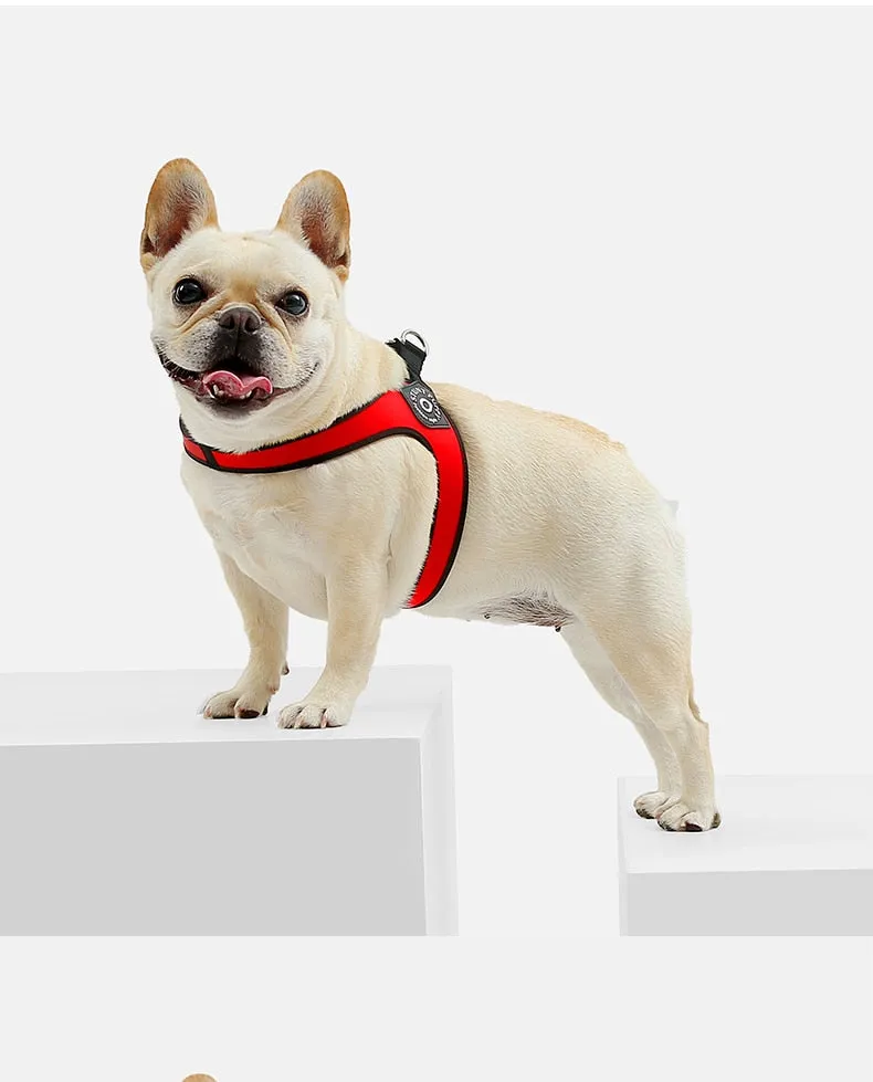 Easy-Walk™ - No Pull French Bulldog Harness (WS601)