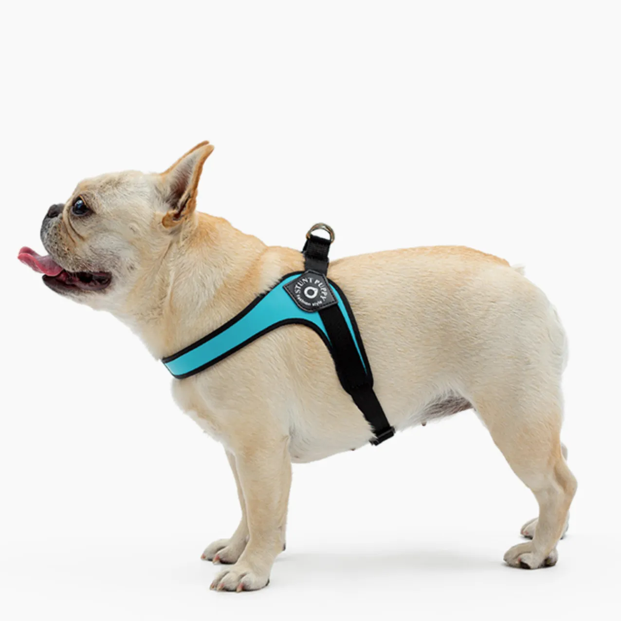 Easy-Walk™ - No Pull French Bulldog Harness (WS601)