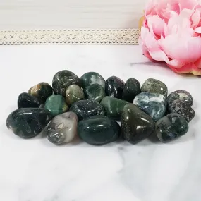 Moss Agate Crystal Natural Gemstone Tumbled Stone | One Stone