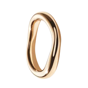 Perfect Loop Ring