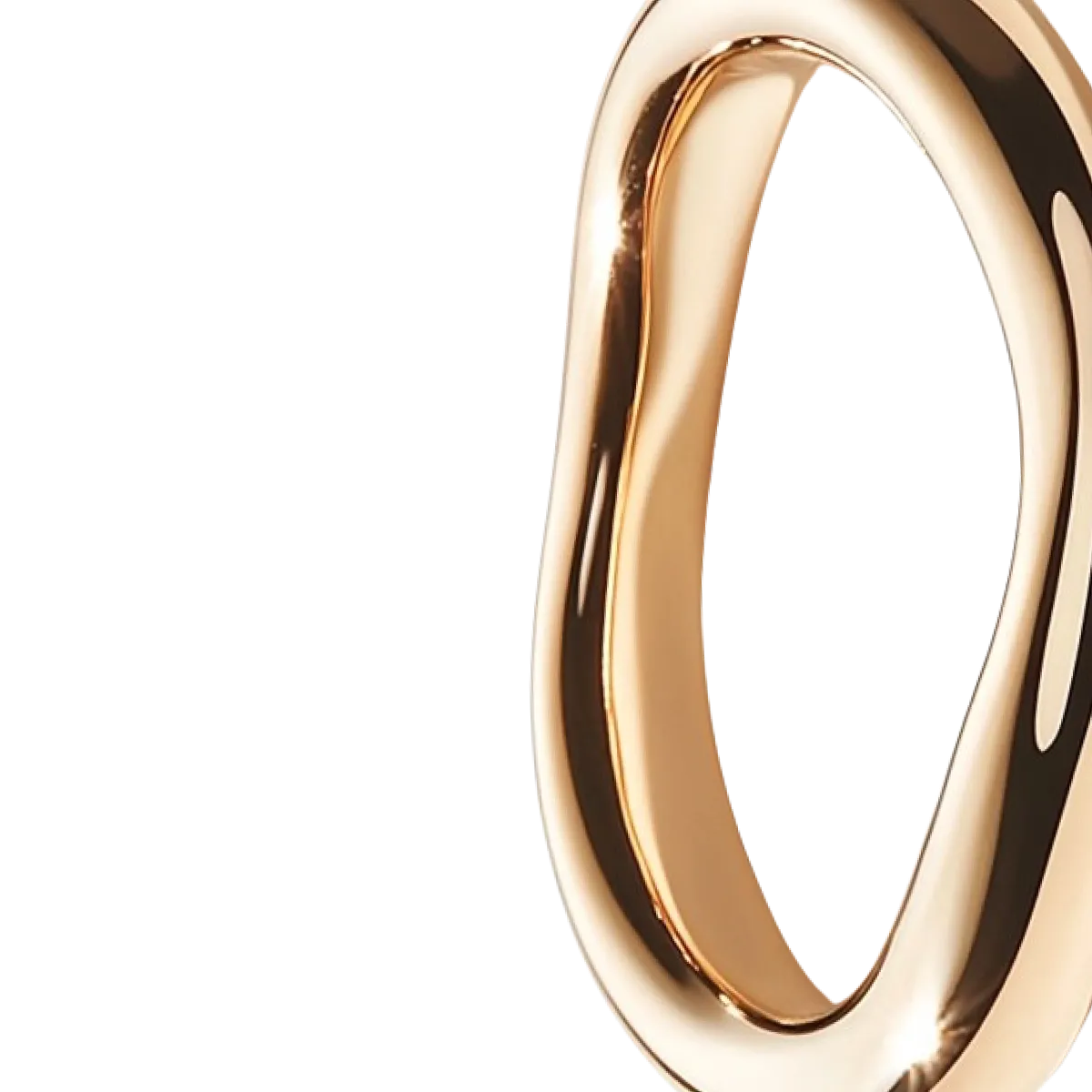 Perfect Loop Ring