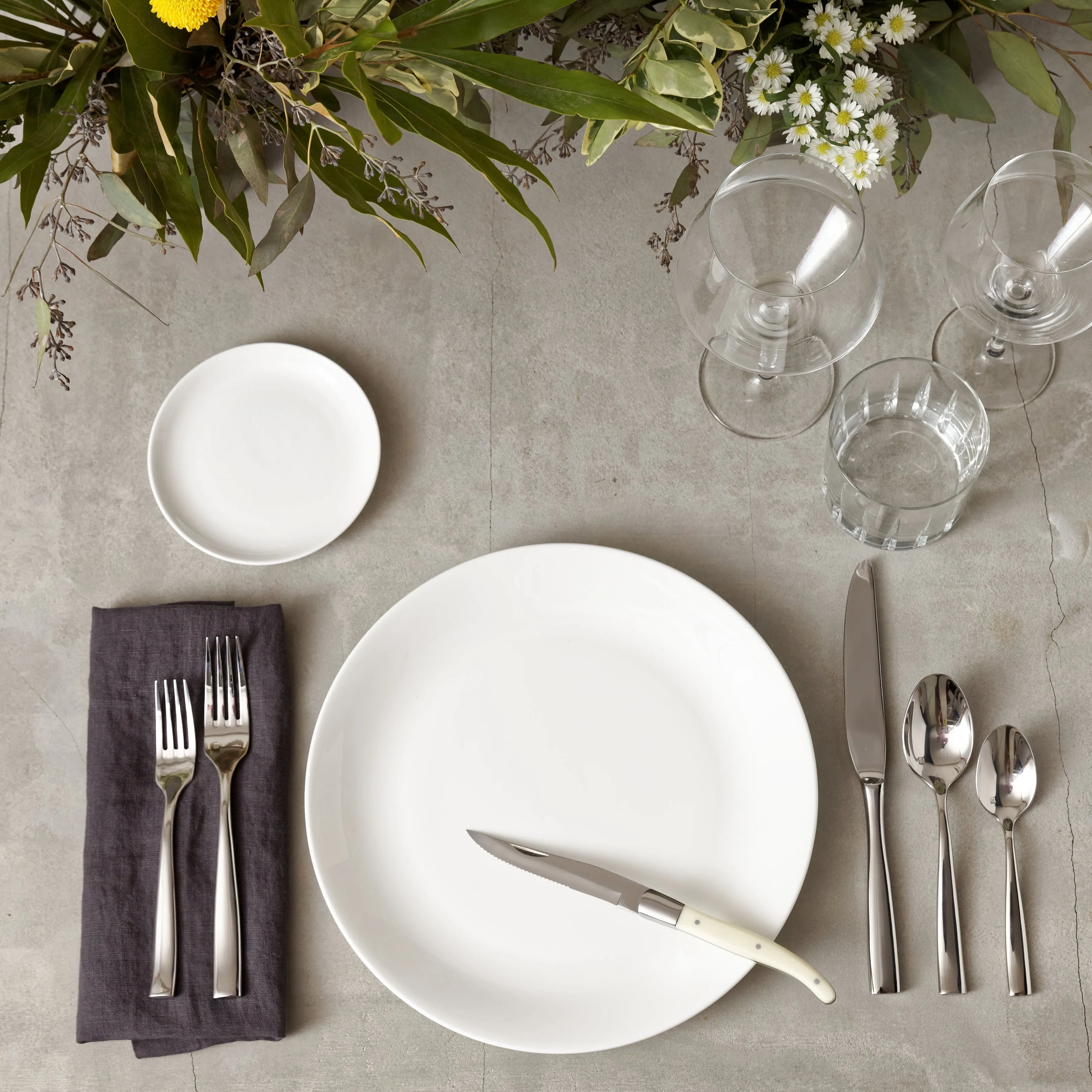 Purio China Coupe Dinner Plate - Set of 4